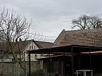 Třibřichy
